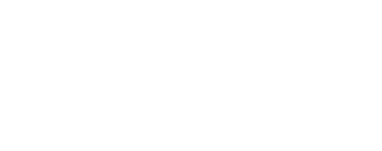 Fry's